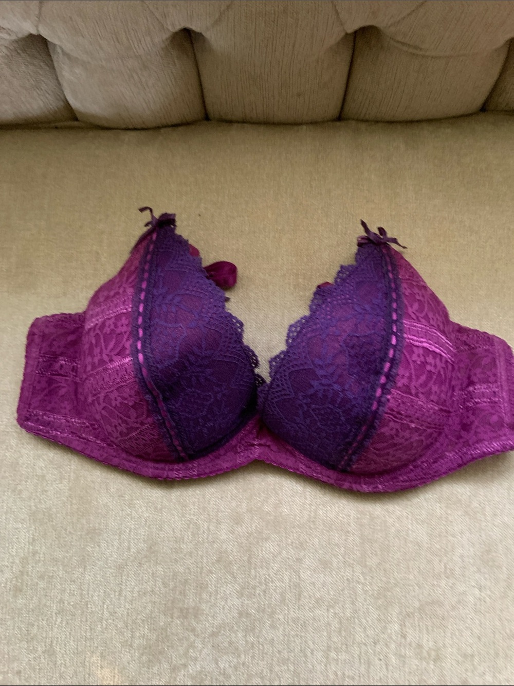 Plunging Lace Push-Up Bra in Purple Ombre